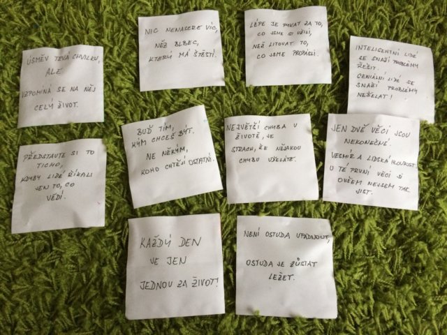 photo6.jpg